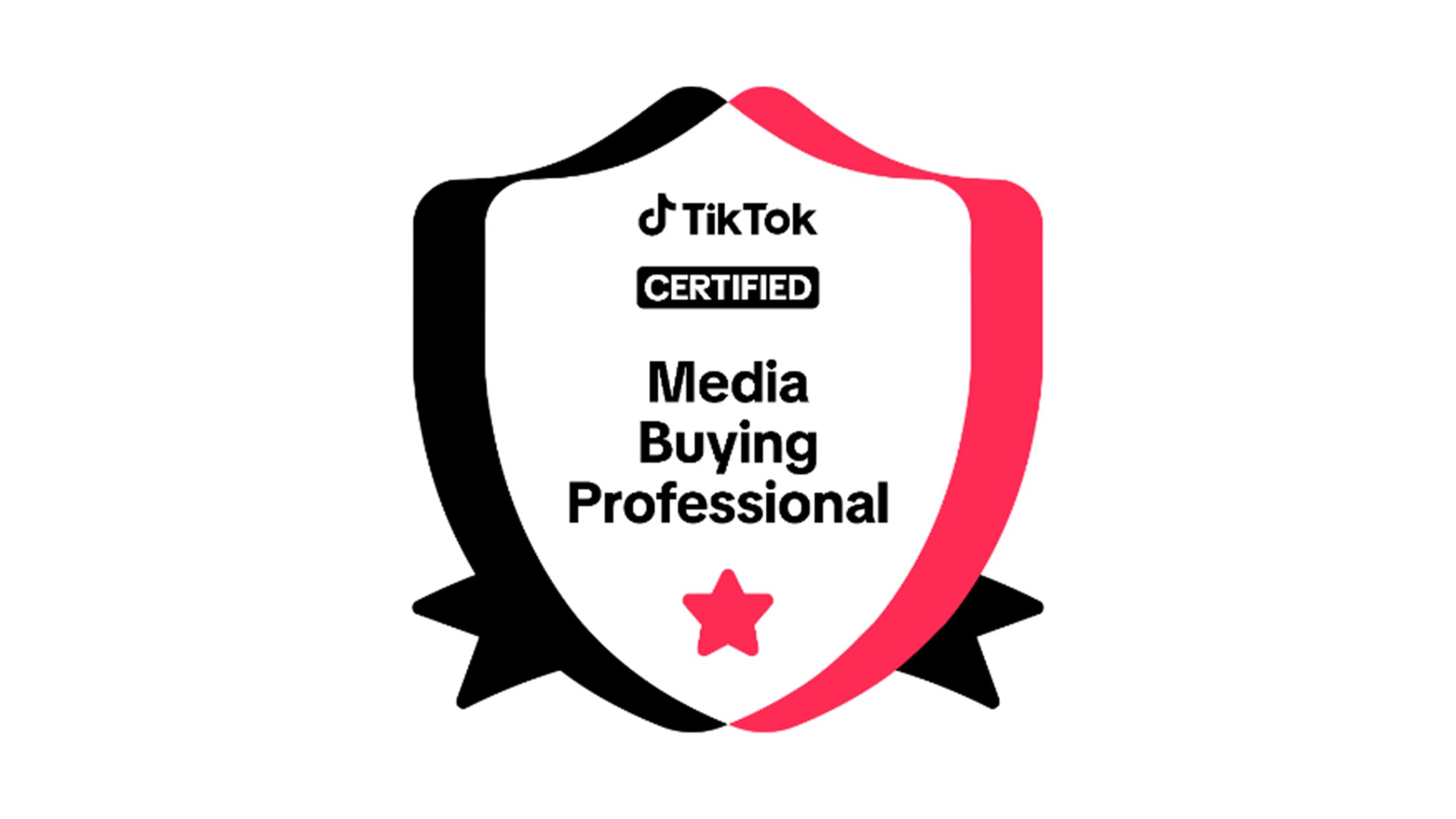 TikTok Media Buying Professional